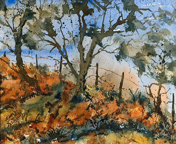 PearlHailstone_DartmoorTreesAndFence